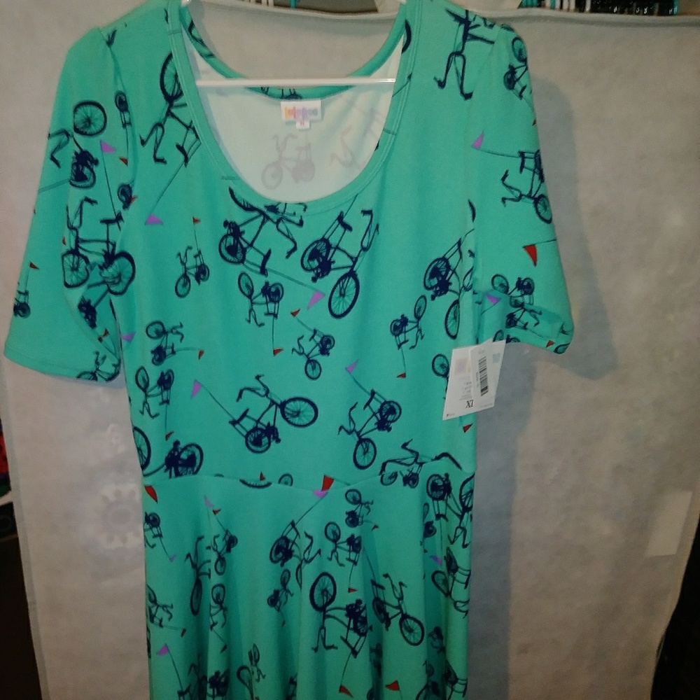 Lularoe Nicole dress